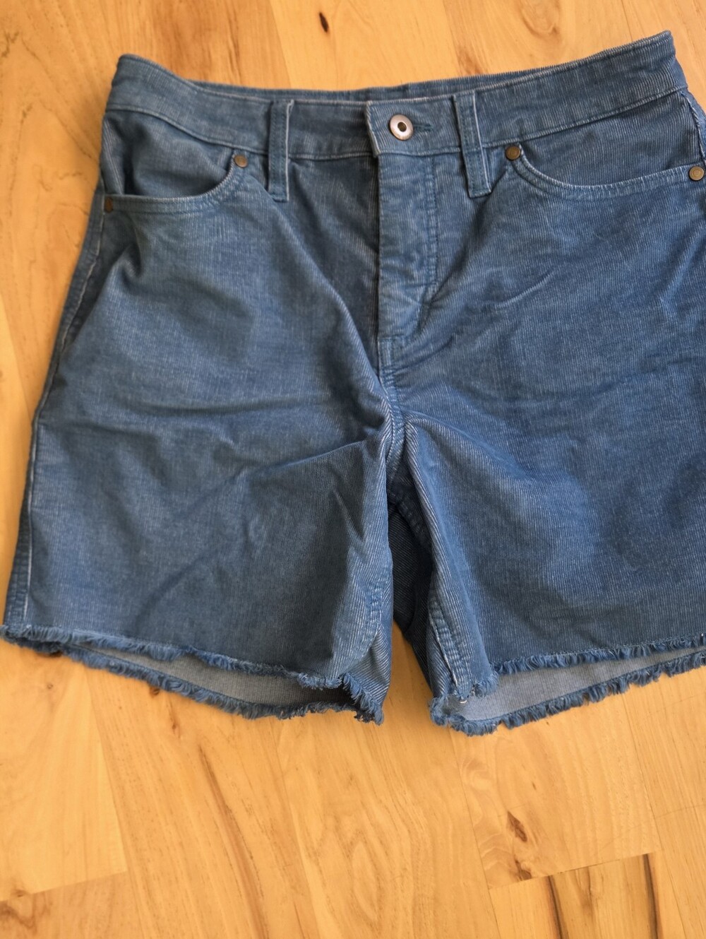 Carve Designs Oahu 6" Shorts Azul